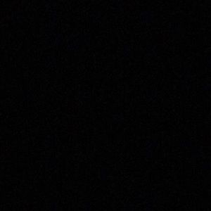 Meet your Posher, Rosalie